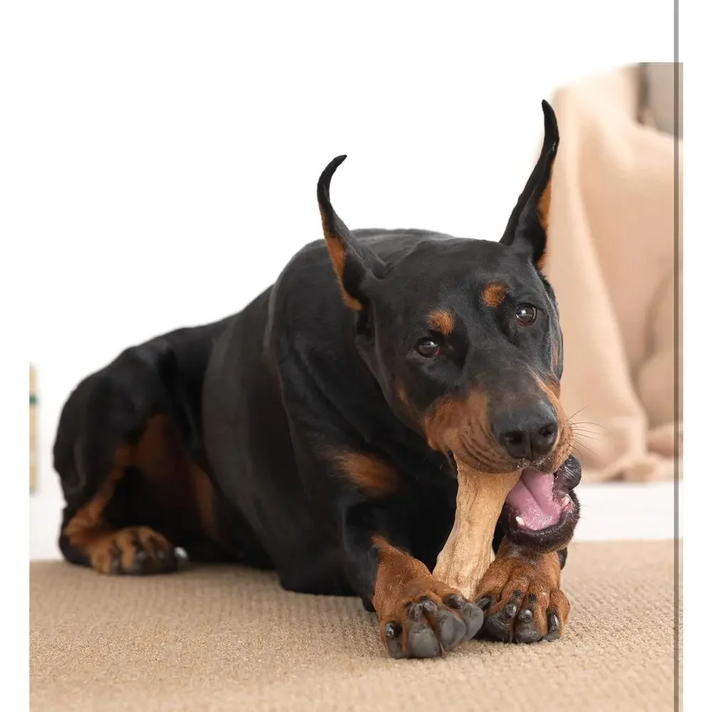 Willjoy dog chew
